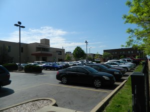 Mothers Day 2014 Planned Barrenhood